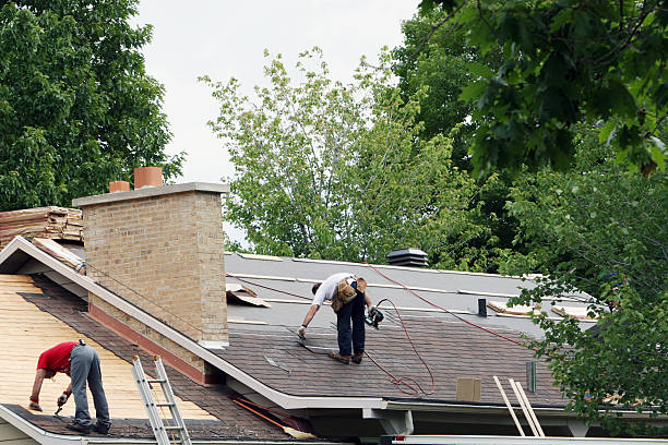 Best Roof Restoration Services  in Downs, IL