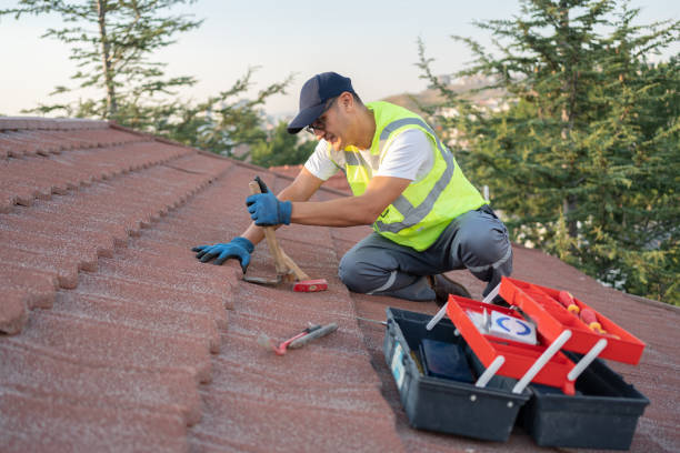 Best Roof Repair Services  in Downs, IL