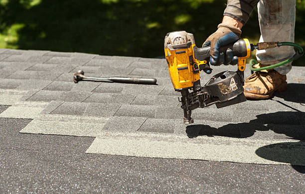 Roof Gutter Cleaning in Downs, IL