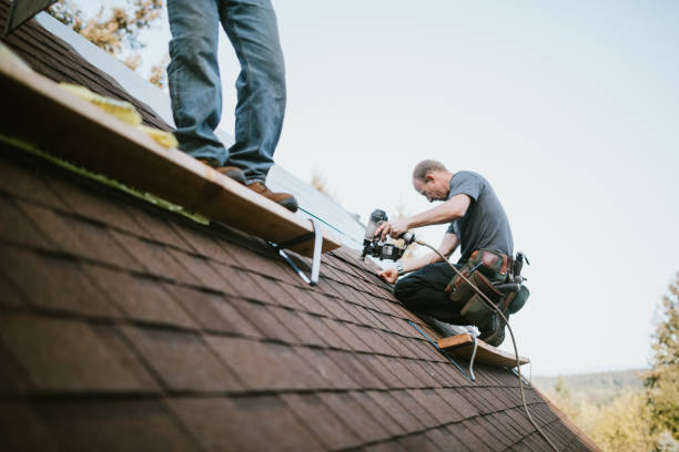 Best Storm Damage Roof Repair  in Downs, IL
