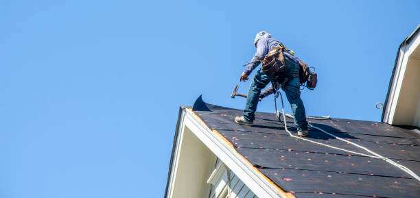 Best Roof Waterproofing Services  in Downs, IL